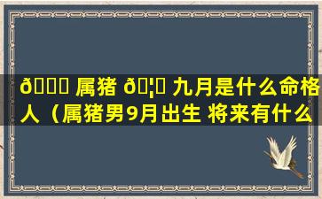 🐛 属猪 🦊 九月是什么命格男人（属猪男9月出生 将来有什么成就）
